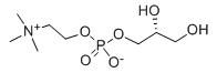 Cholin glisofosfos cas 28319-7-9